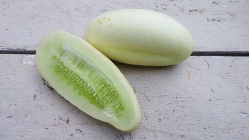 A slice of White Wonder Cucumber on a wooden backdrop.