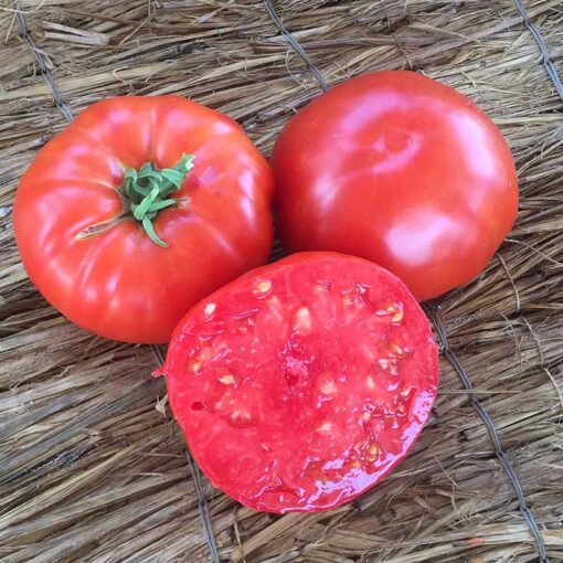 Three red Tomato Beefsteak on a straw surface, one of the tomatoes being sliced in half.