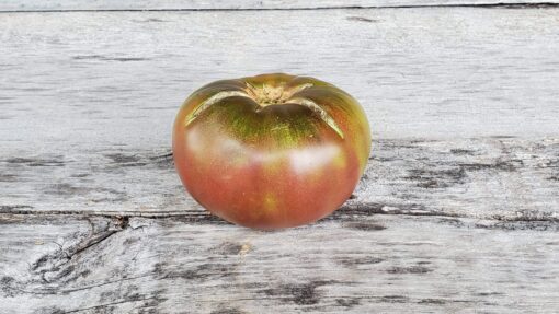 Black Krim Tomato with its green shoulders and reddish skin.