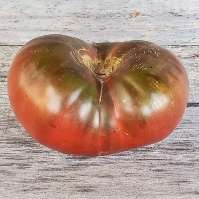 Tomato Black Prince with its dark shoulders and deep red colored sides.