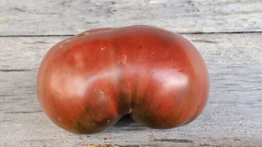 An upside down Black Prince Tomato.