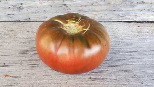A single round Black Prince Tomato.