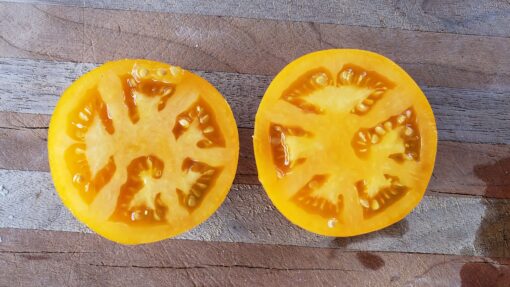 Juicy and seedy slices of Golden Jubilee Tomatoes.