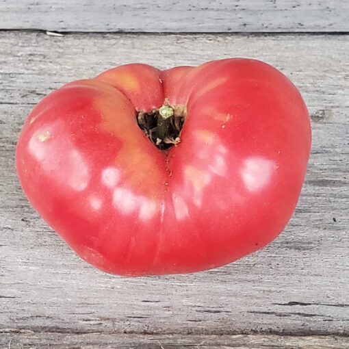 Pink Henderson tomato on a wooden surface.