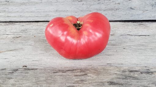 A ripe Tomato Henderson's Pink Ponderosa with a heart-like shape on a wooden surface.