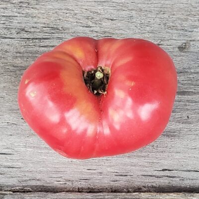 A ripe, heart-shaped Tomato Henderson's Pink Ponderosa on a wooden surface.