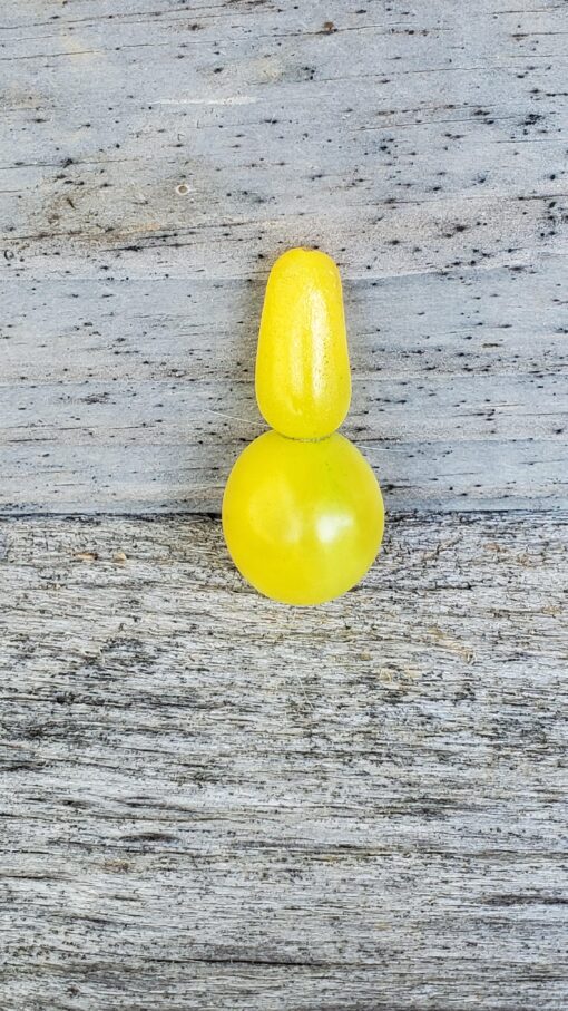 Yellow Pear Tomato on wood.
