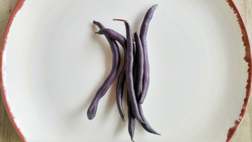 Royalty Purple Pod beans on a white plate.