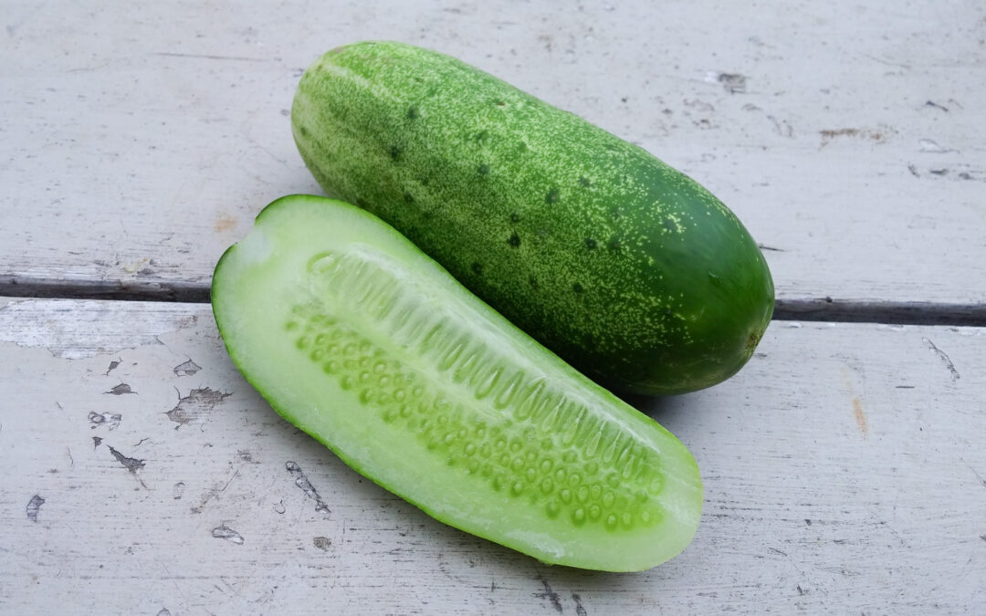 Cucumber Mistakes Video