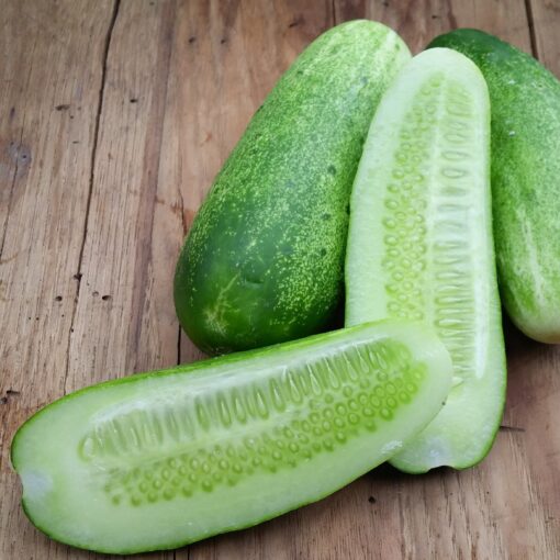 Cucumber Double Yield sliced open next to other cucumbers.