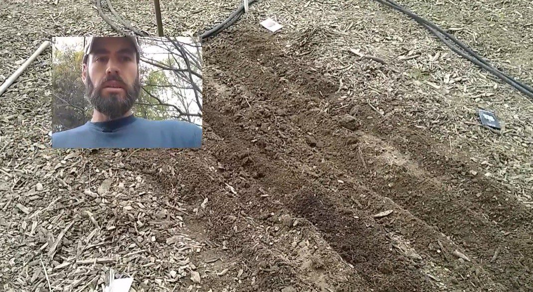 How to Amend your Soil without Tilling