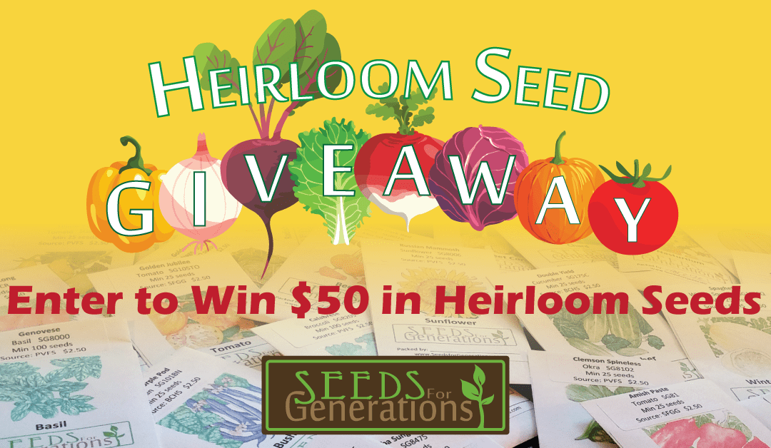 Heirloom Seed Giveaway Contest for HBN Homegrown and Handmade Giveaway