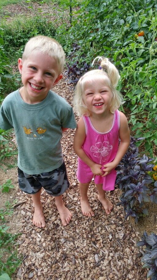 Kids standing next to Dark Purple Opal Basil plants in the garden.