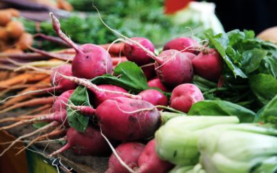 Why Should You Grow a Fall Garden & How to Get Started