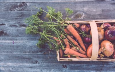 3 More Tips for Successful Fall Gardening