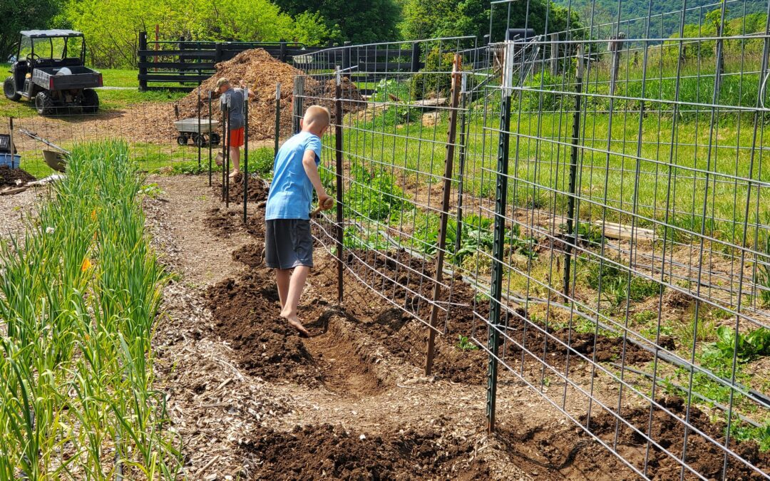 How to Calculate your Garden Planting Dates