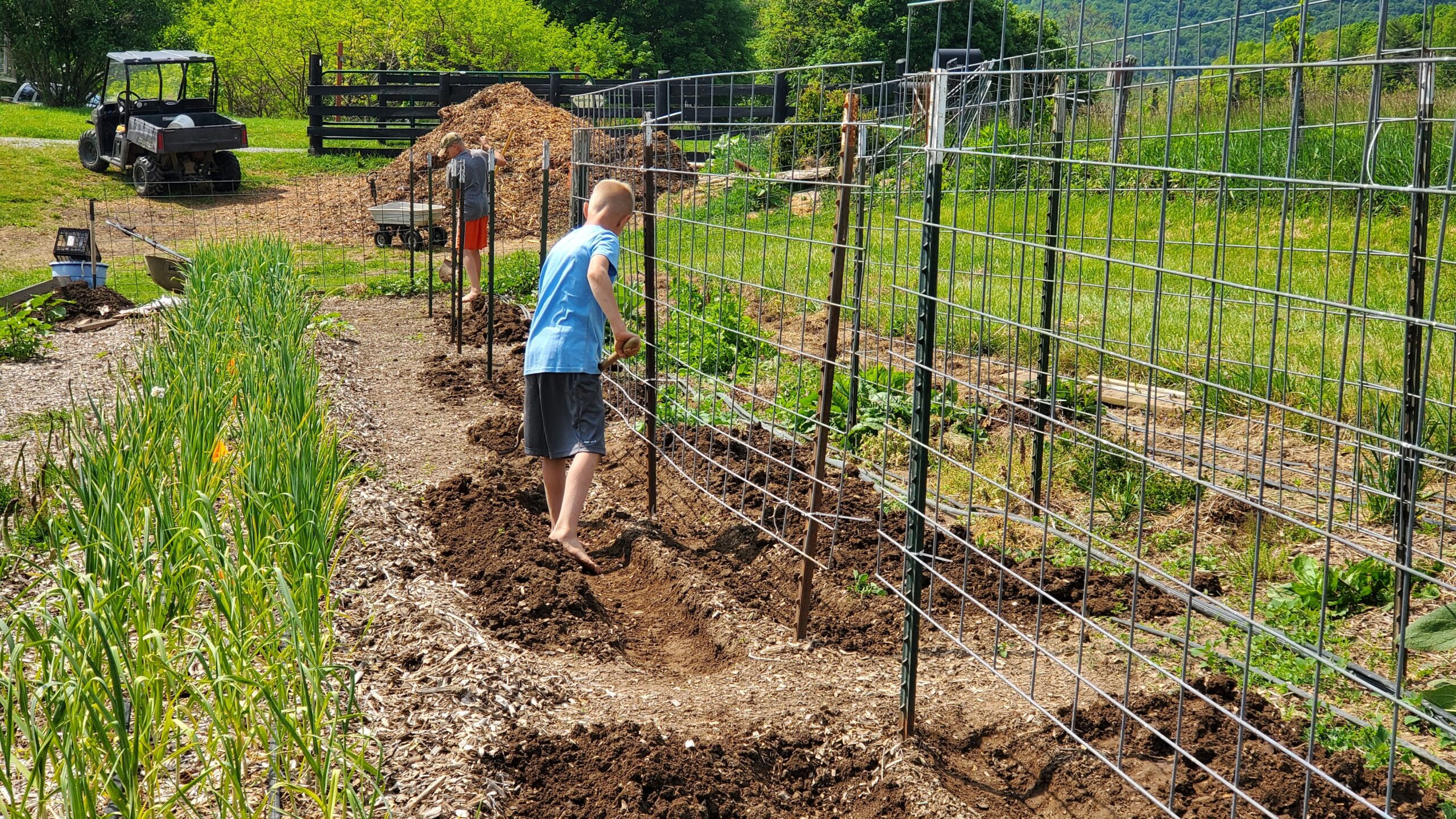 A person in a blue shirt and shorts diligently follows the garden timeline, planting along a wire fence. In the background, a small vehicle stands ready beside a pile of mulch, awaiting further landscaping calculations.