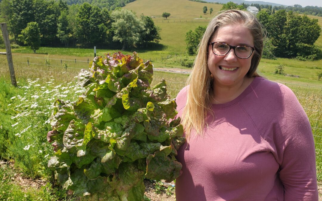 How to Choose Garden Seeds