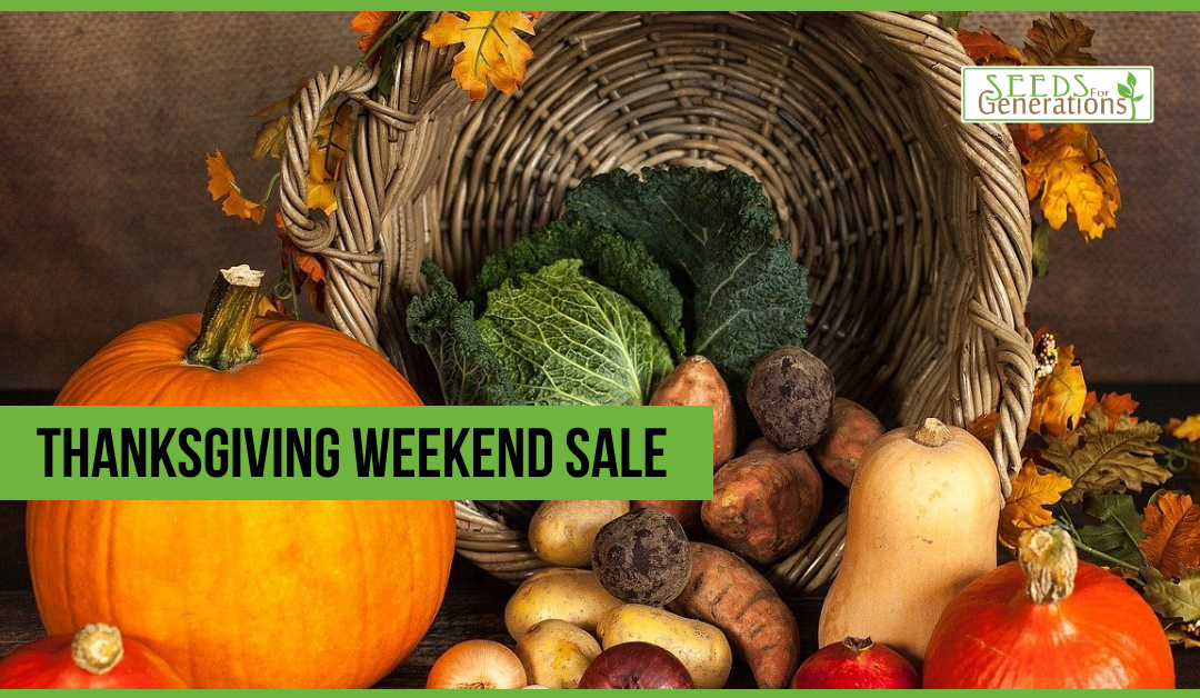 Thanksgiving Weekend Sale