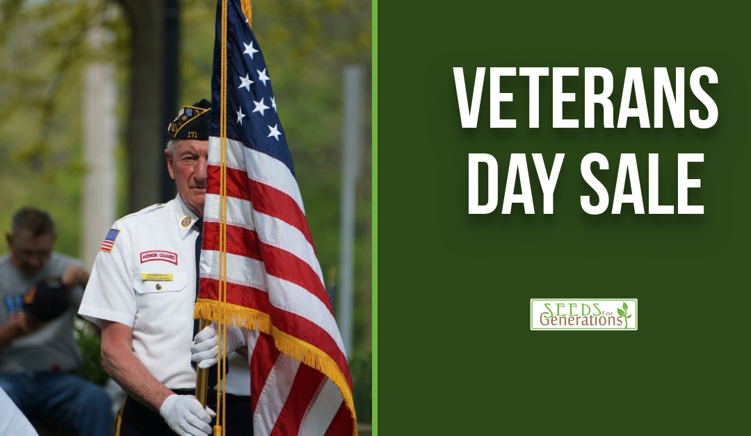Veterans Day Sale