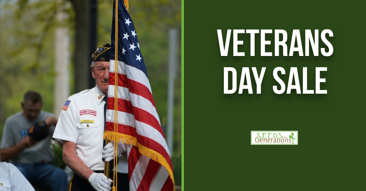 Veterans Day Sale FB V2