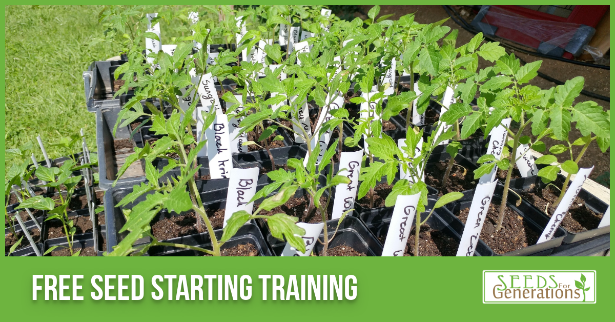 Seed starting training image