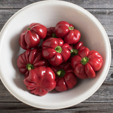 Pepper Sweet Hungarian Red Round
