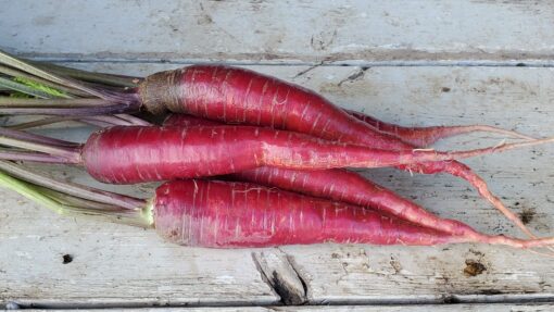 Fresh Carrot Cosmic Purple with green tops on a wooden surface.