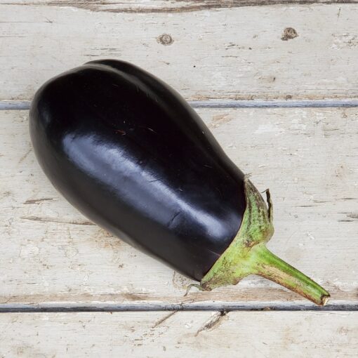 Eggplant Black Beauty on a wooden surface.