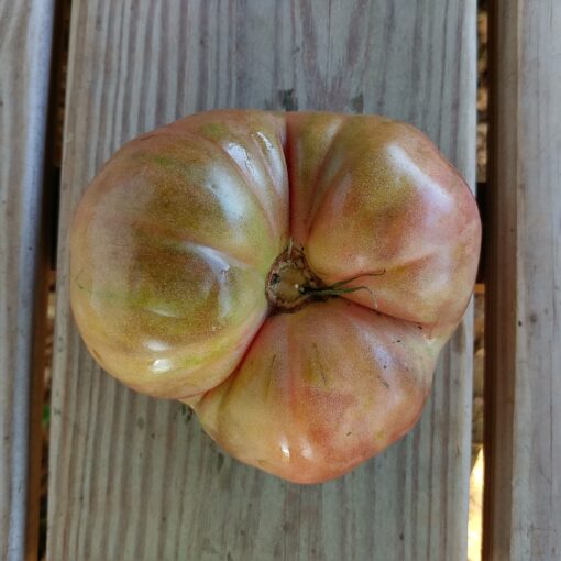 Tomato Cherokee Purple sitting on a wooden deck.