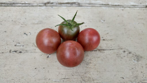 Four Black Cherry Tomatoes with their black shoulders and red ends.