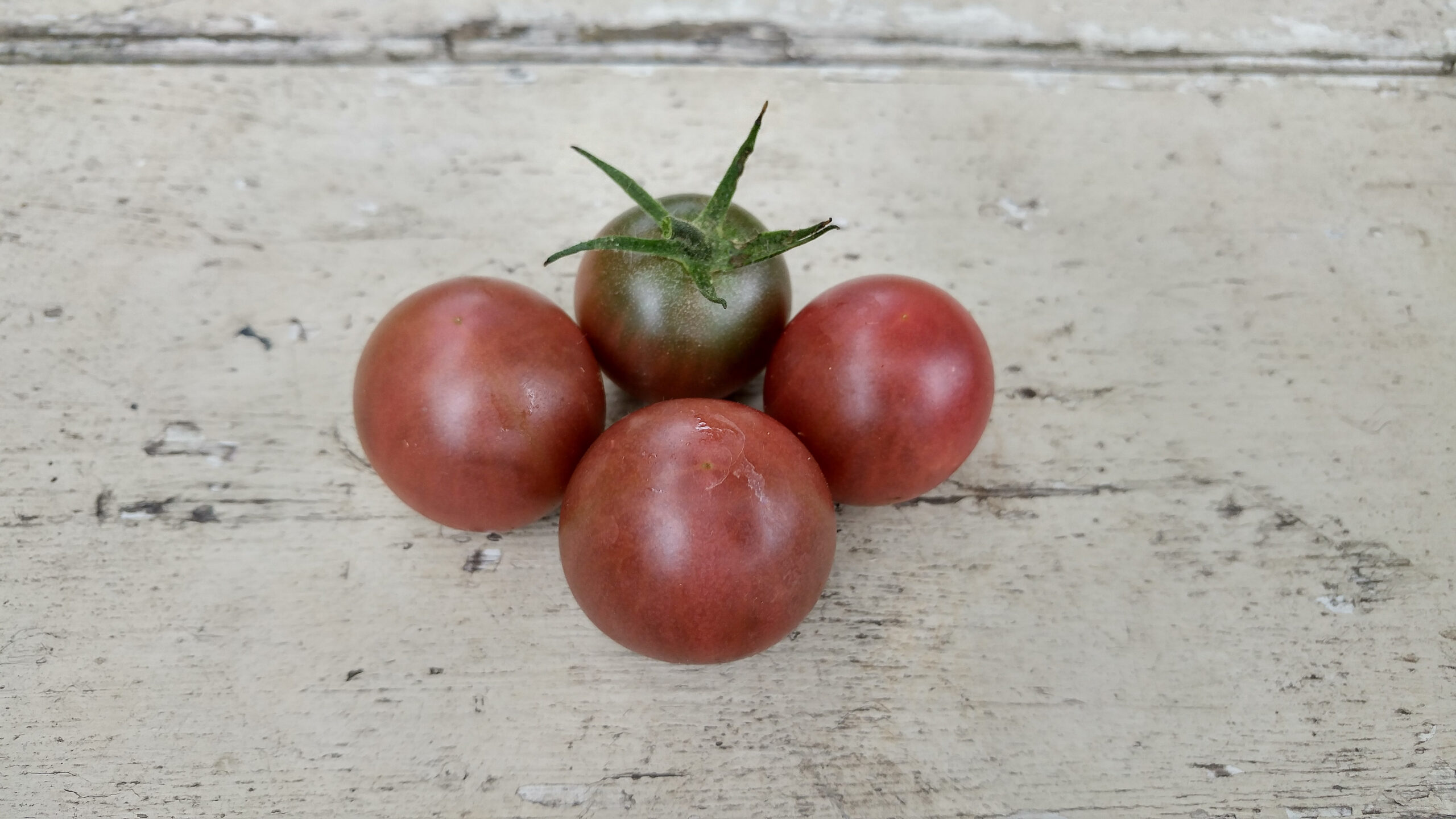 #105 Tomato seeds,Black Cherry Tomato 0,1 g organic seeds
