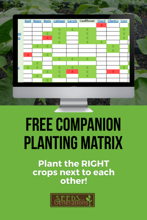 Companion Planting Matrix