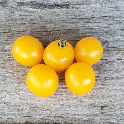 Five Tomato Yellow Cherry arranged in a pyramid shape on a wooden surface.