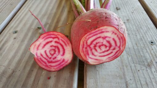 Chioggia Beets sliced open to reveal the pink and white striped flesh.