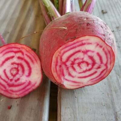 Beet Chioggia Bassano beet sliced open to reveal the colorful pink and white rings.
