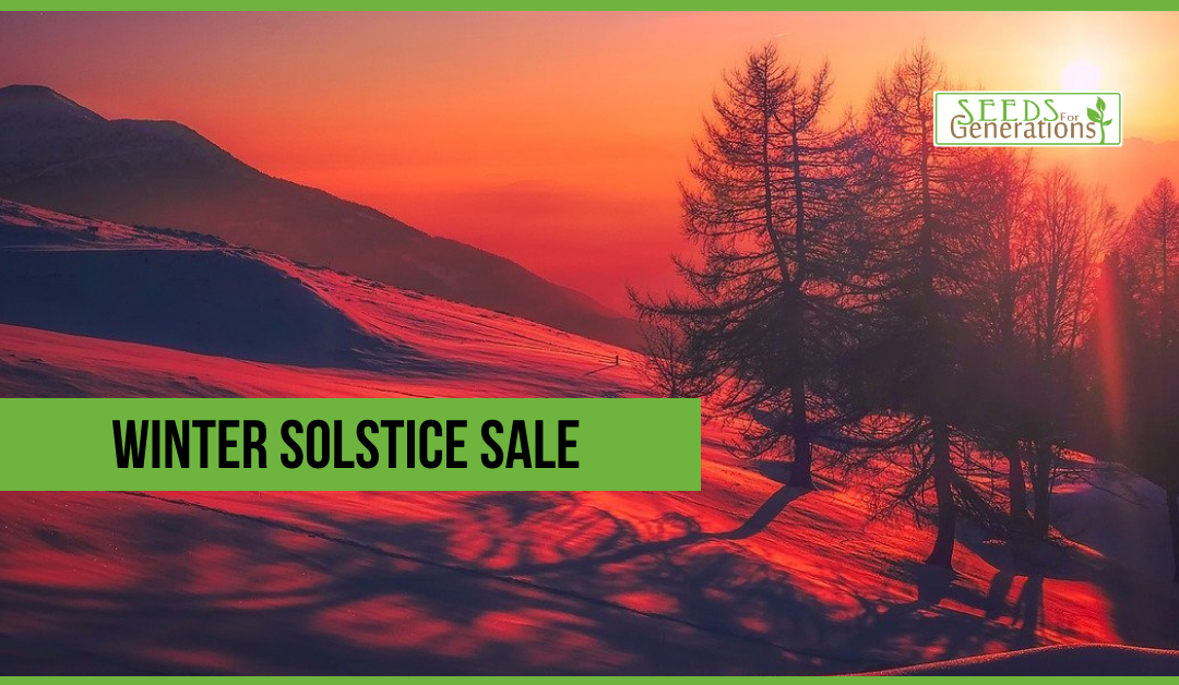 Winter Solstice Sale