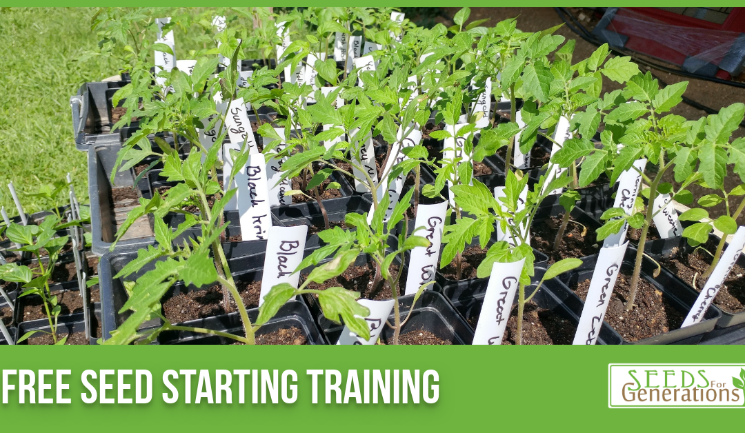 Garden Seed Starting Training