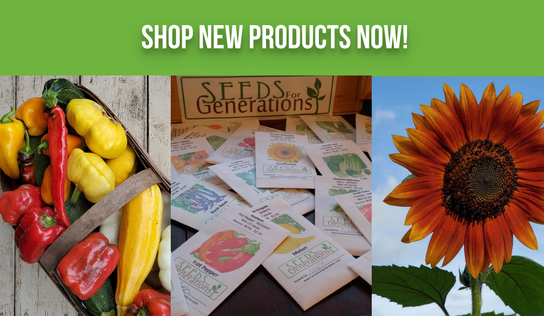New Products Update