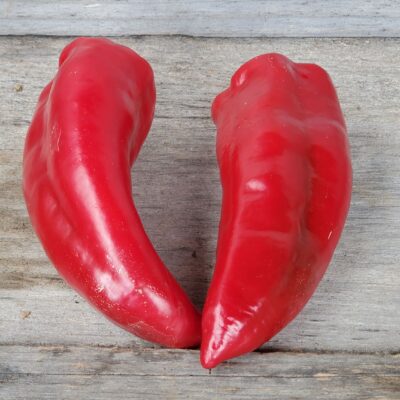 Red Marconi Peppers are very sweet with thick walls and are great for cooking and fresh eating.