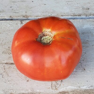 Tomato Red Brandywine with its neatly red skin.
