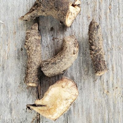 Comfrey Root Pieces on a wooden surface.