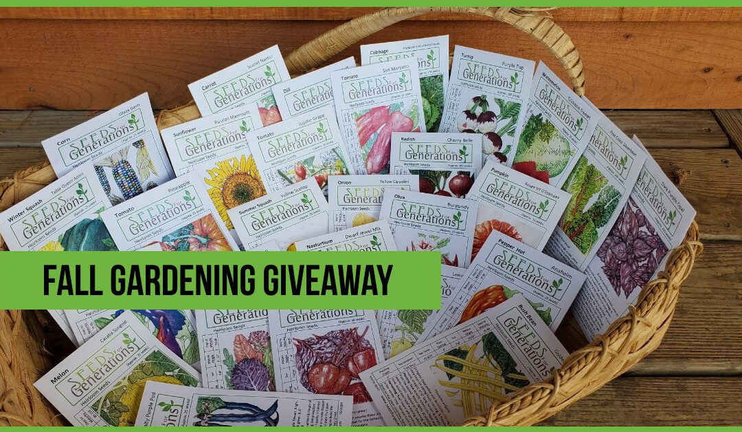 $50 Seed Giveaway Fall 2025