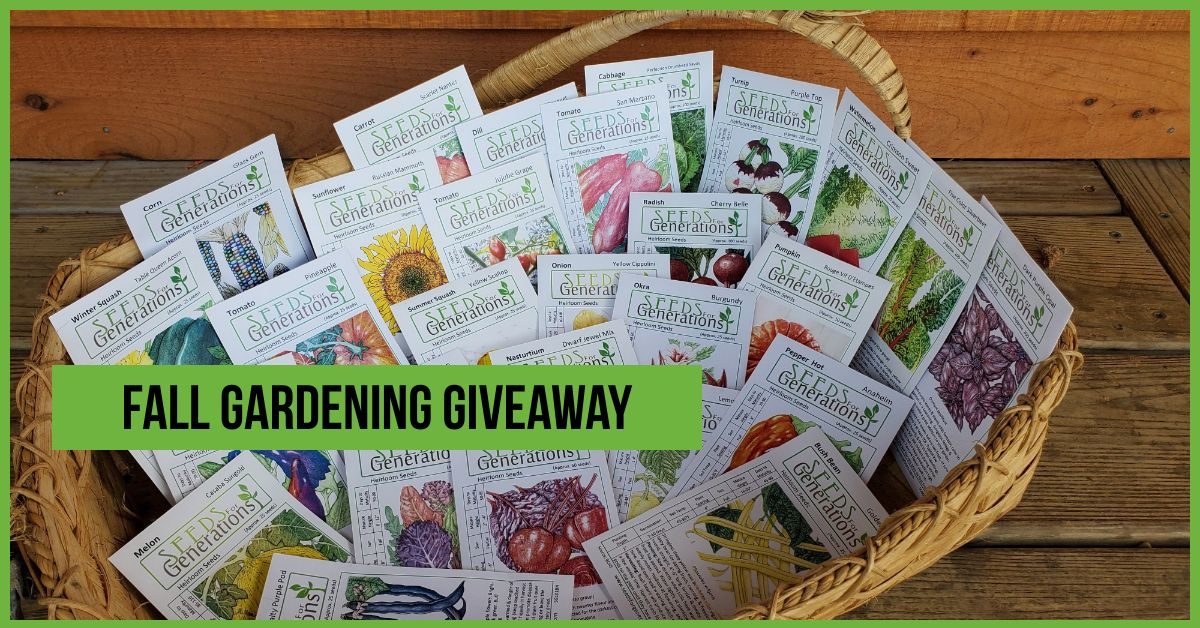 Girls planting seedlings in garden.