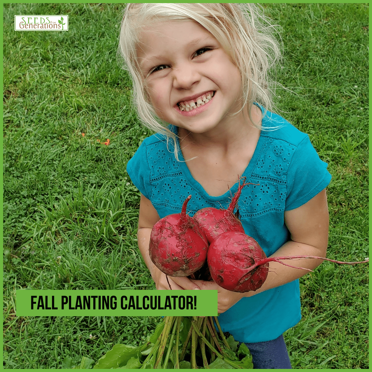 Fall Planting Calculator 
