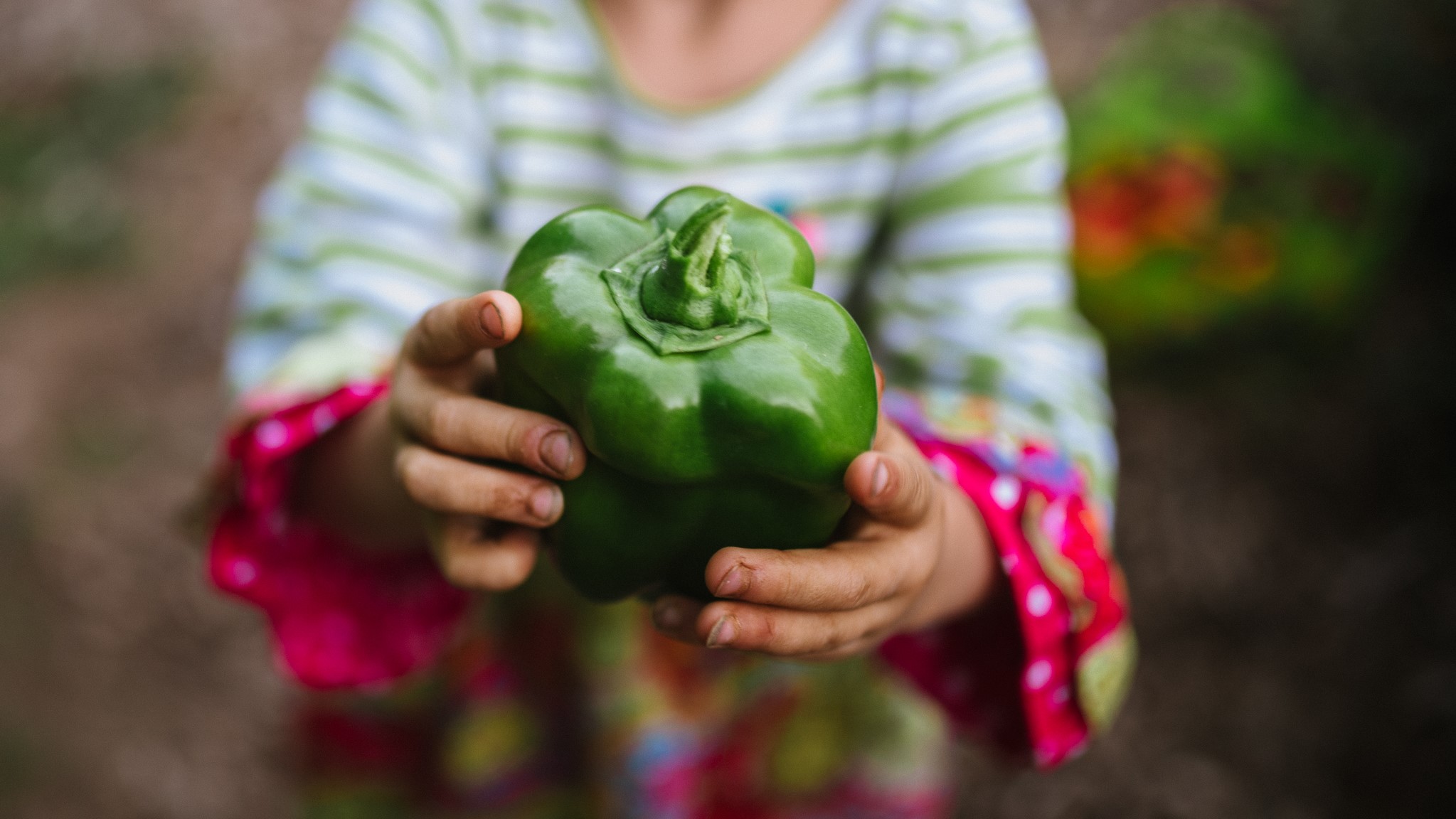 Handing someone a big fat green pepper.