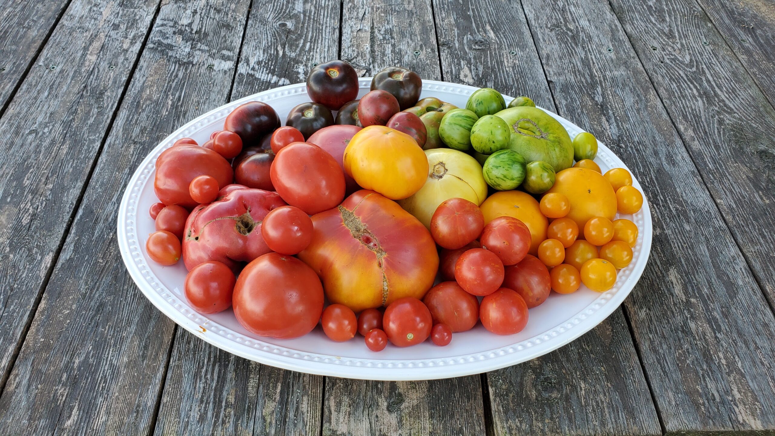 Heirloom Tomatoes of various colors on a tray.