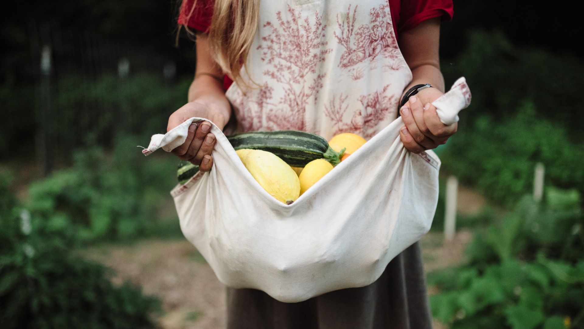 An apron filled to the brim with Heirloom Squash.
