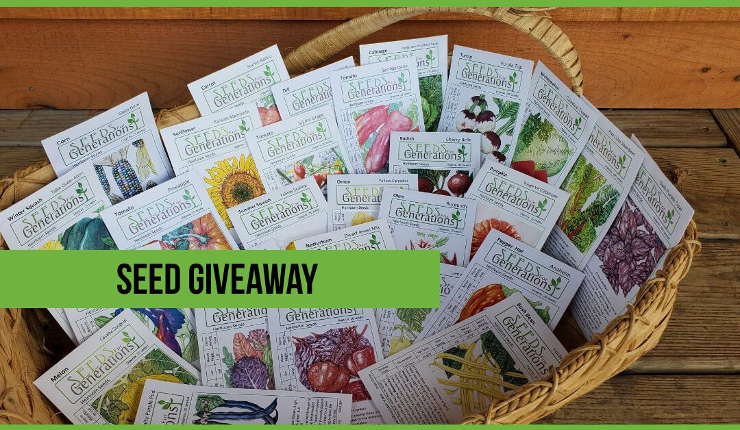 GYOV Holiday Guide – Seed Discount