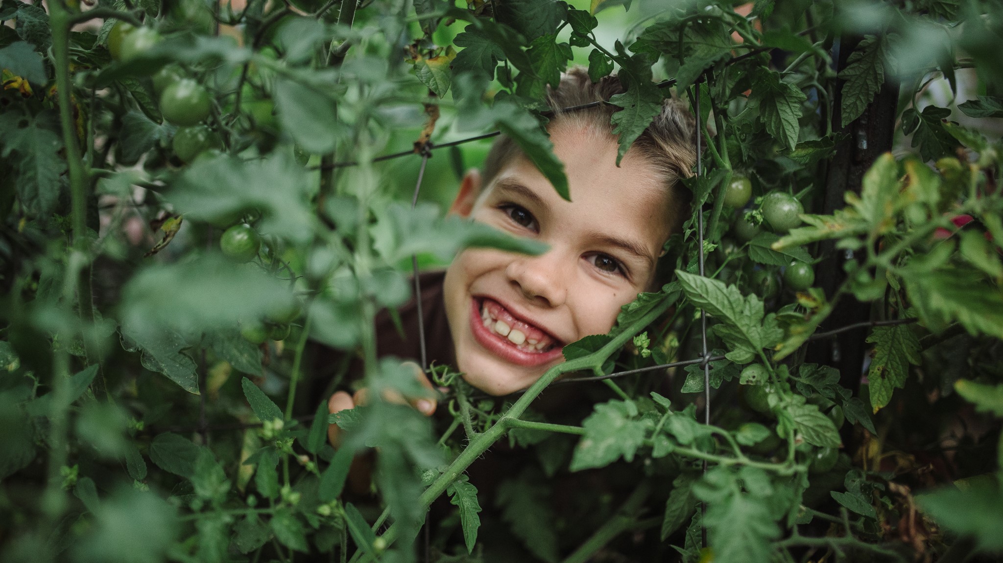 Smiling through the tomato vines.